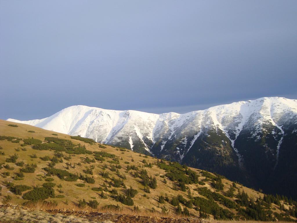 Vila Horal Liptovský Mikuláš Esterno foto